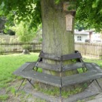 10. Gartenwanderung Zwickau