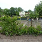 10. Gartenwanderung Zwickau