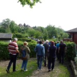 10. Gartenwanderung Zwickau