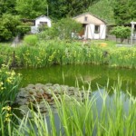 10. Gartenwanderung Zwickau